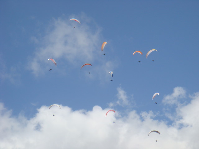 dsc02447.jpg