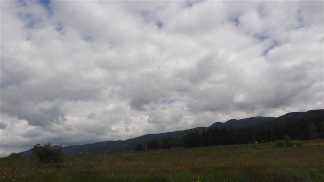 dsc07330.jpg