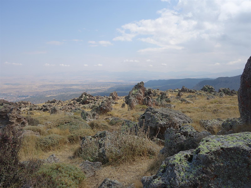 dsc08501.jpg