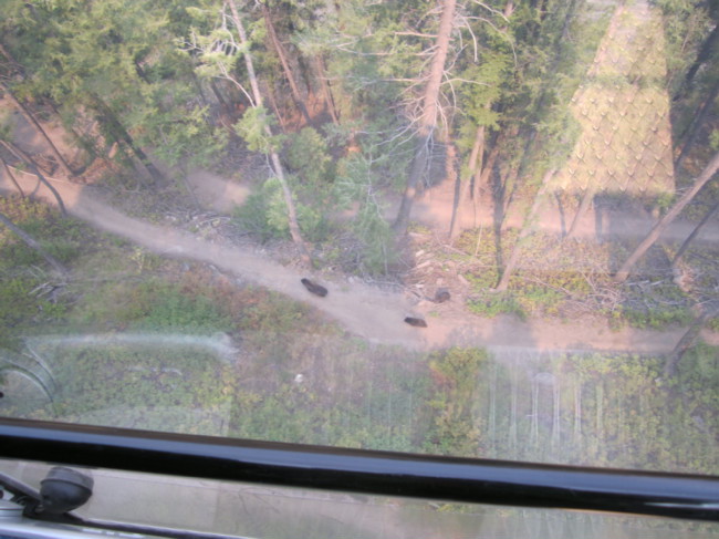 img-1270.jpg