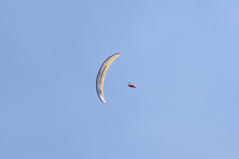 img_1786374166825.jpg