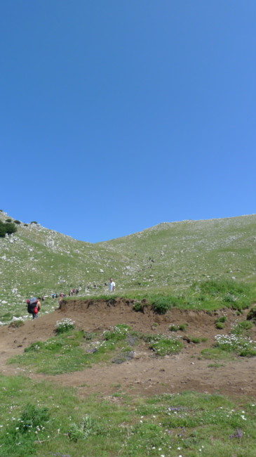 p1020985_t1.jpg