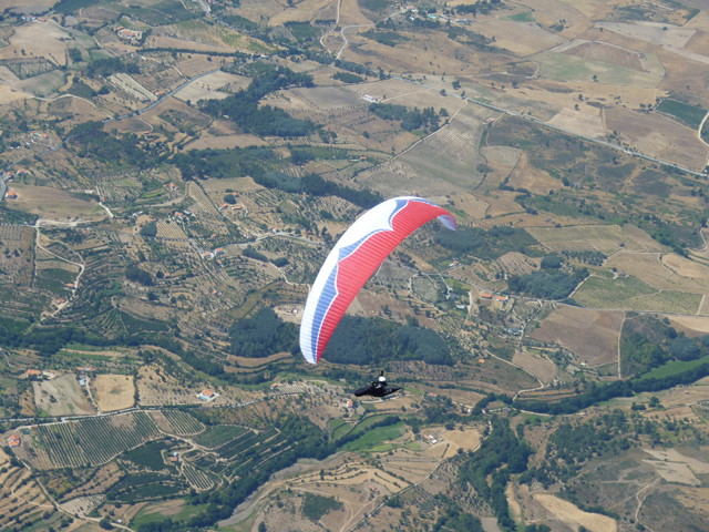 p1030351s.jpg
