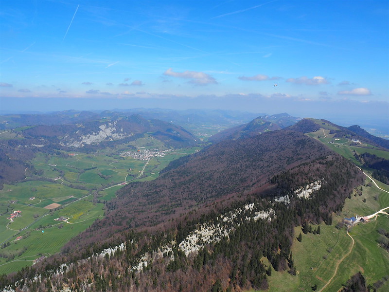p4232733.jpg