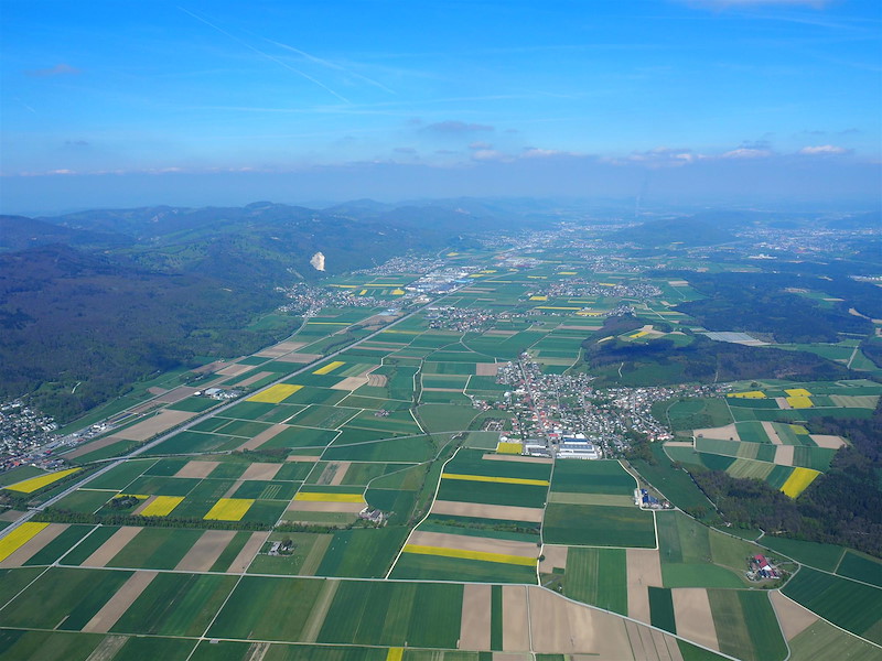 p4232750.jpg