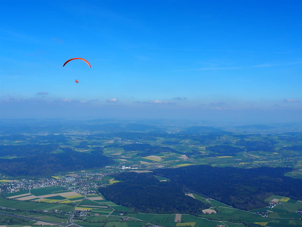 p4232757.jpg