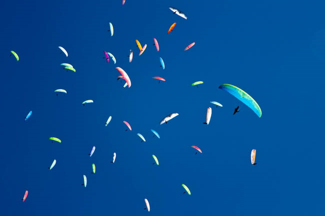 paragliding-kopaonik1-234-ms-2914.jpg