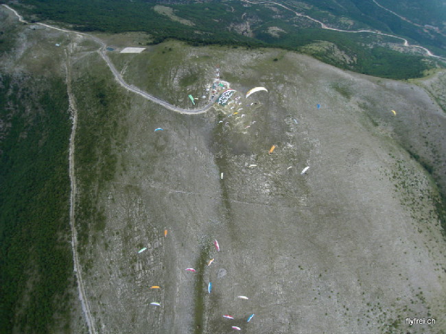 sdc12386.jpg