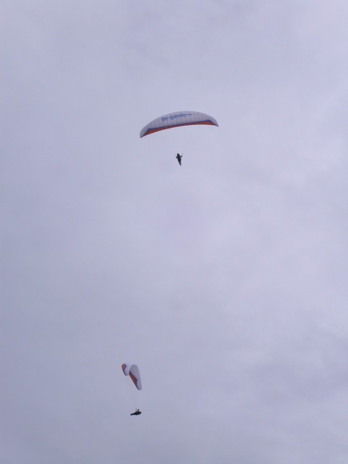 sl1216.jpg