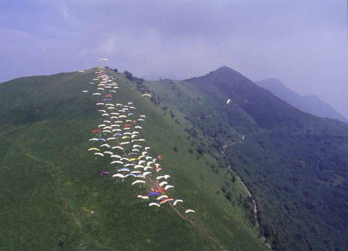 sl2009.jpg