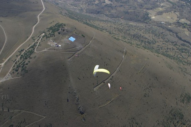sl2029.jpg