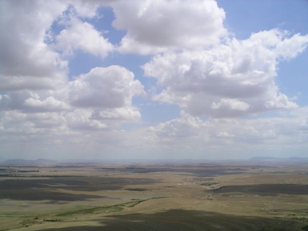 sl2144.jpg
