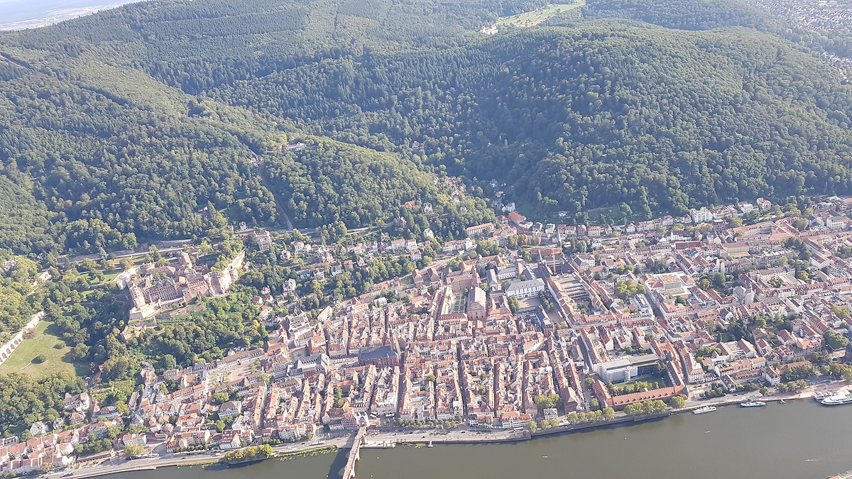 20190906_172011.jpg