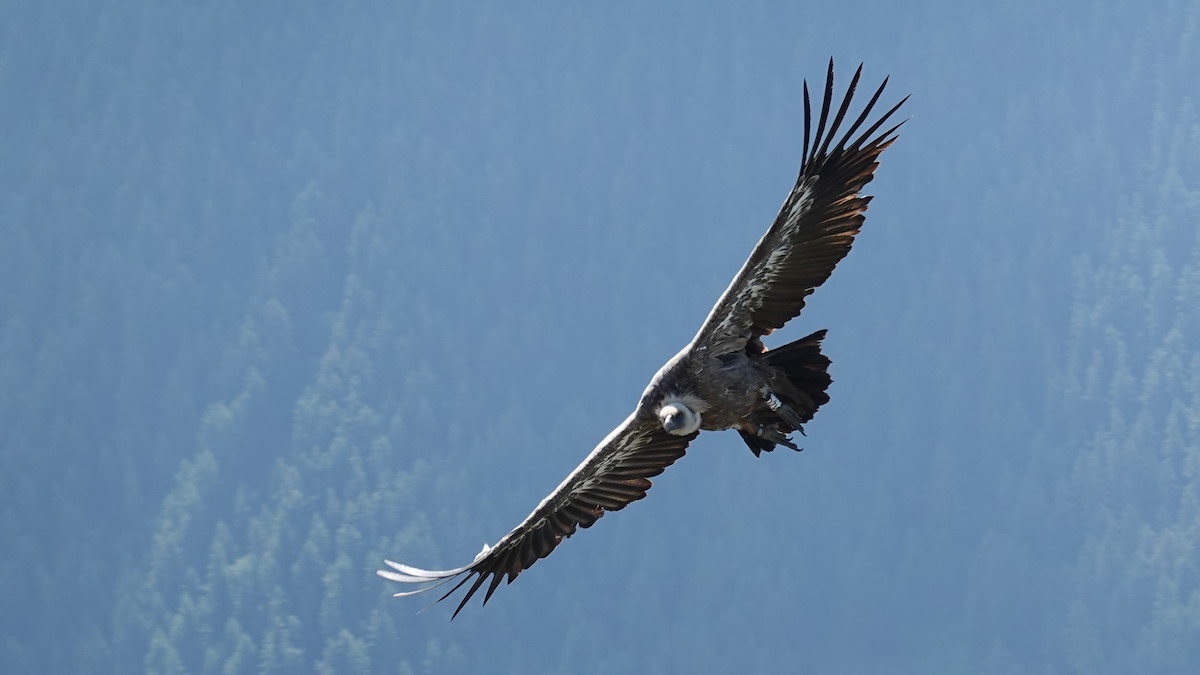 DSC09514_.jpg