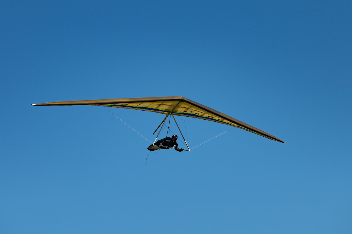 DSC_6454.jpg