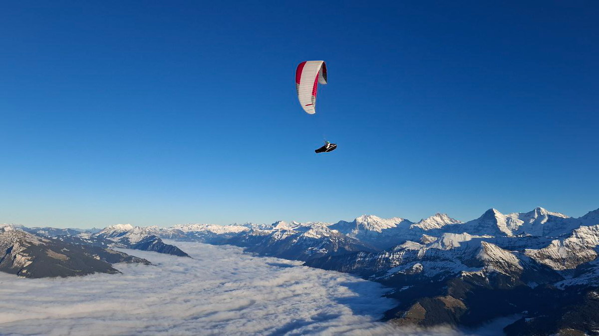 IMG_20241129_171151_173.jpg