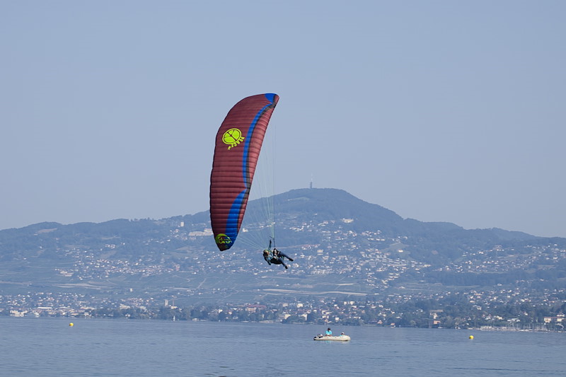 IMG_5762.jpg.res-800x800.jpg