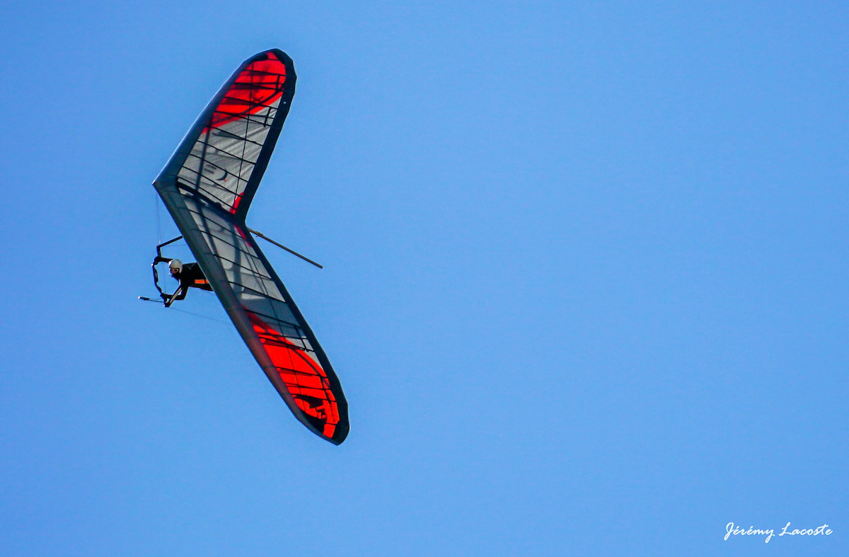 Targasonne wing.jpg