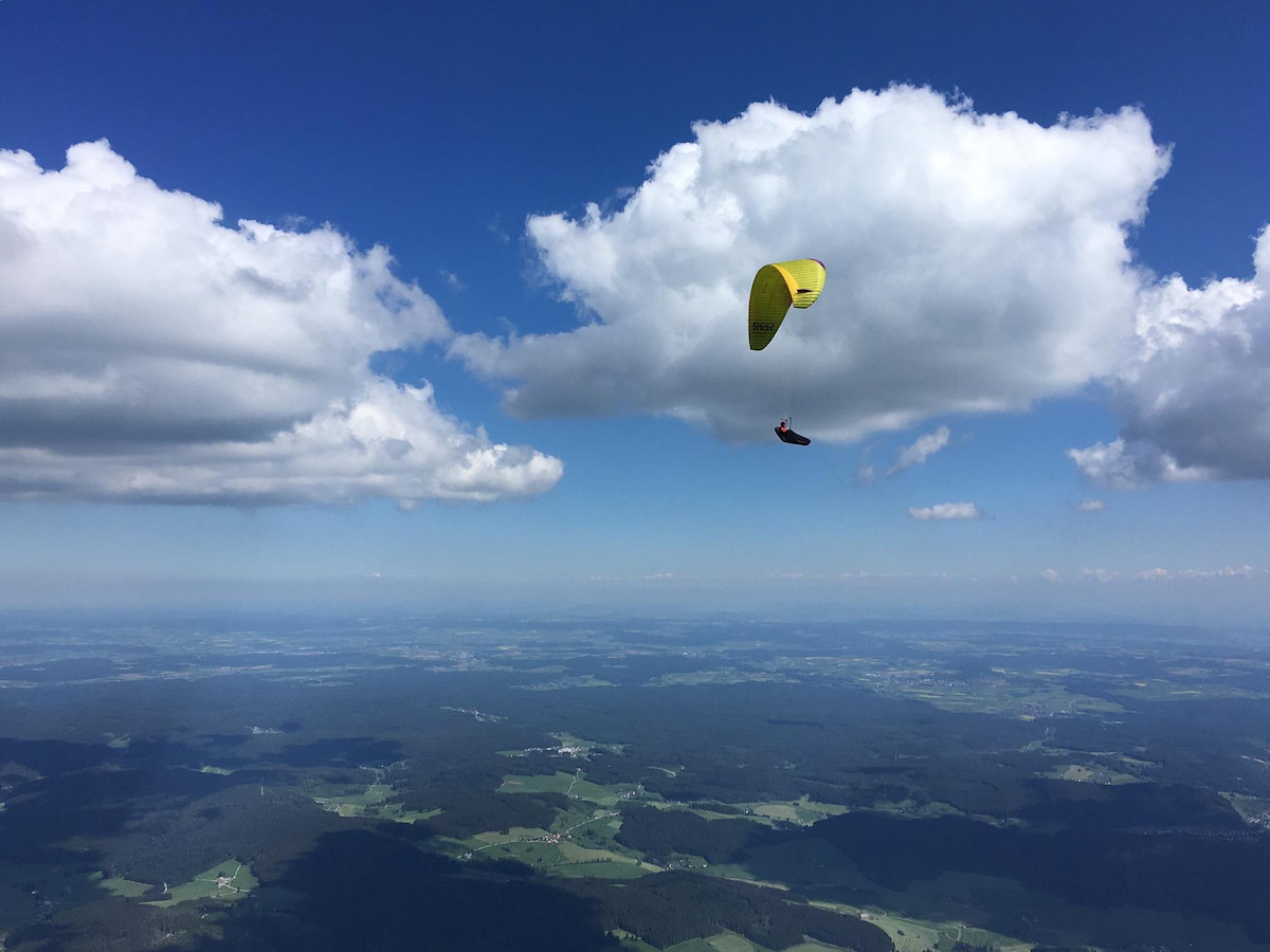 schwarzwald.jpeg