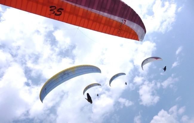 sl2385.jpg