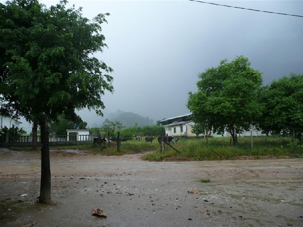 p1030004-medium.jpg