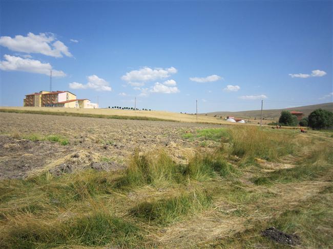 img-0271.jpg