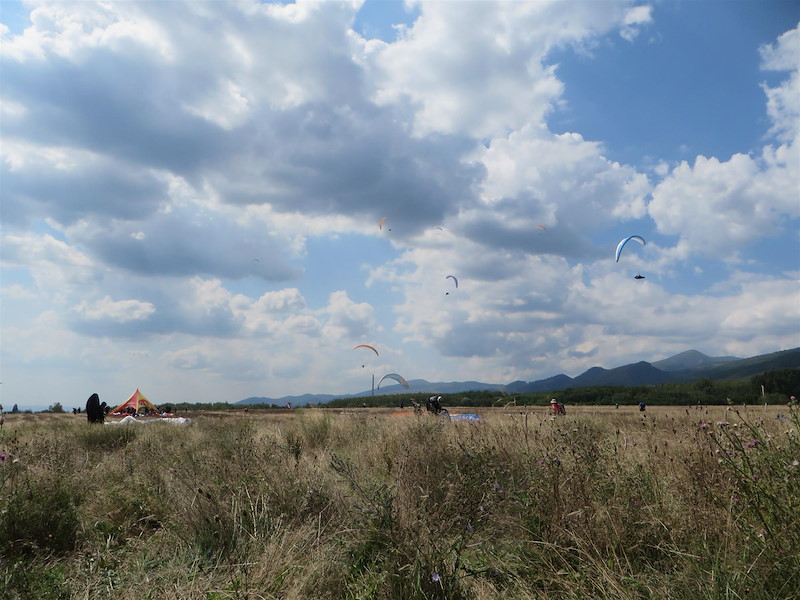 img-0452.jpg
