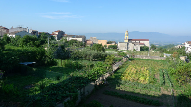 p1020943_klein.jpg