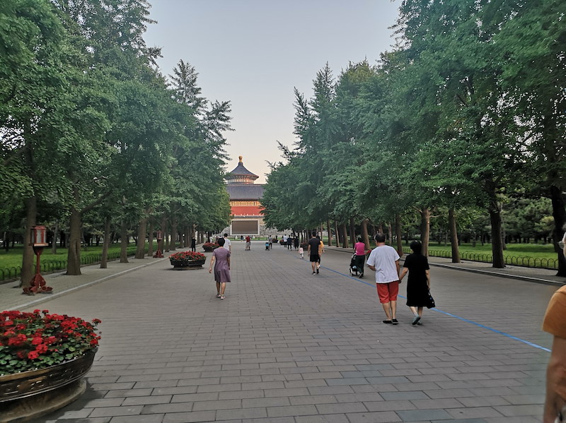 img-20190603-192147.jpg