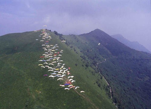 sl2009.jpg