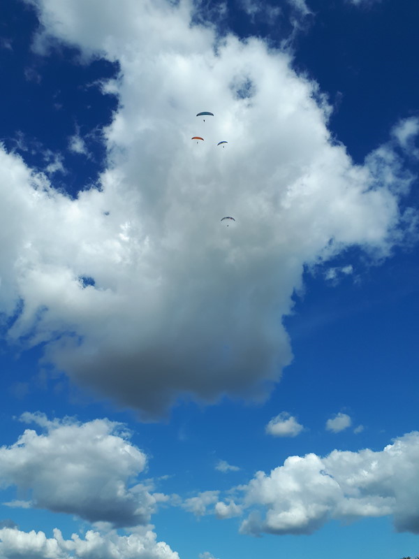 20180420-145117.jpg