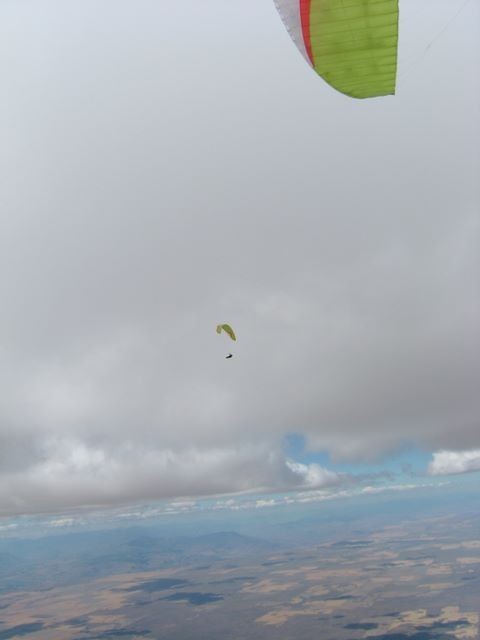 sl2421.jpg