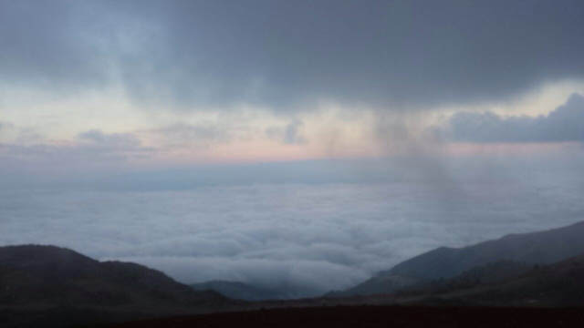 image-12.jpg