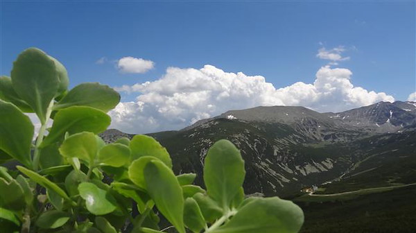 dsc07326.jpg