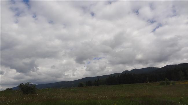 dsc07330.jpg
