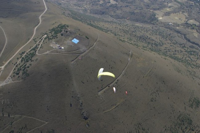 sl2029.jpg