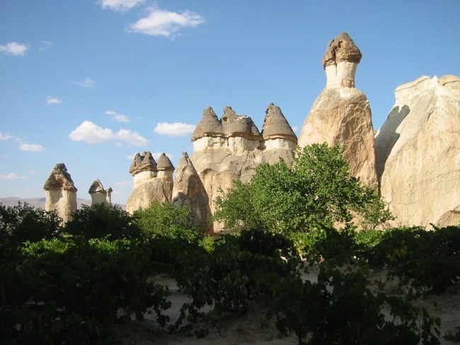 sl2031.jpg