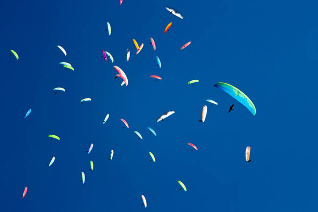 paragliding-kopaonik1-234-ms-2914.jpg