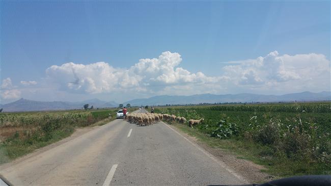 20160819-123253.jpg