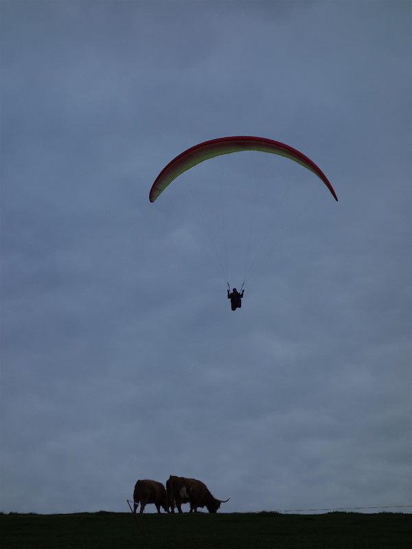 dsc08713.jpg