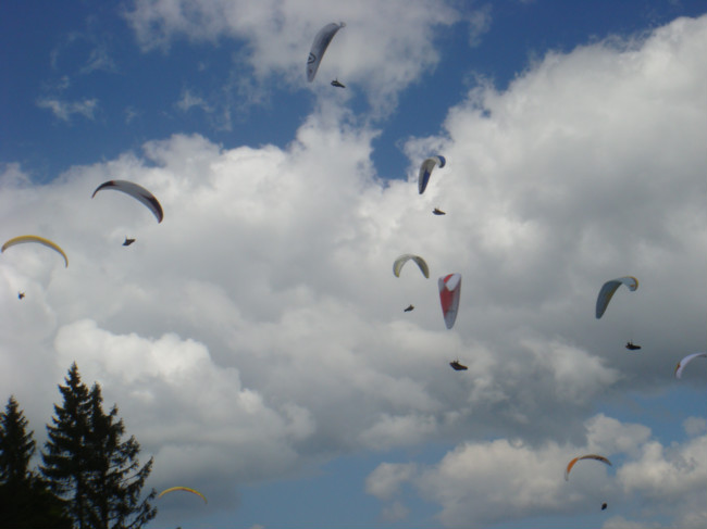 dsc02525.jpg