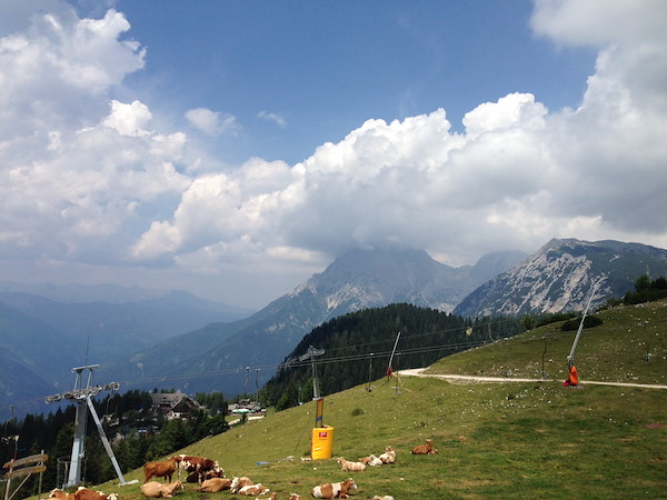 img-5390.jpg