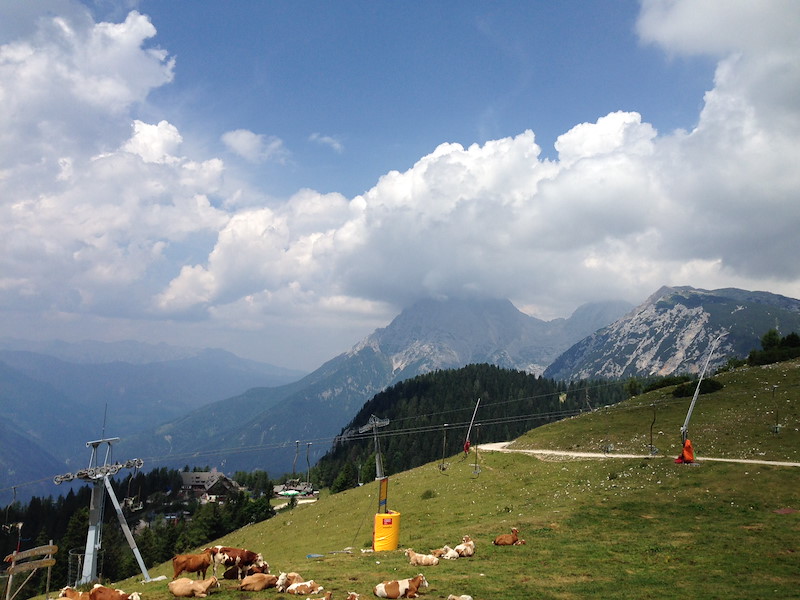 img-5390.jpg