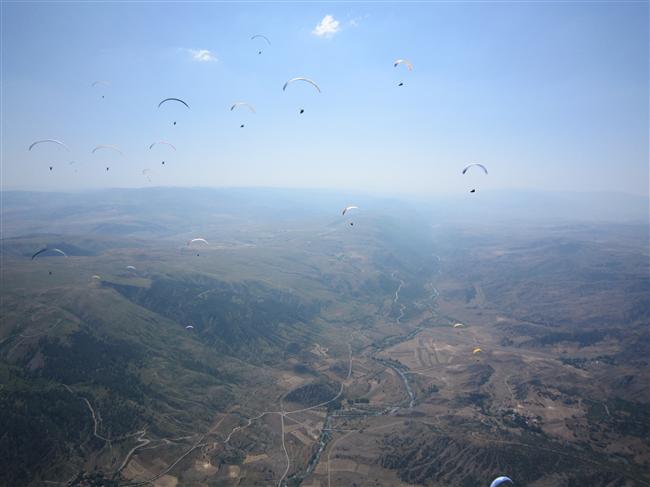 fliegen-im-graben.jpg