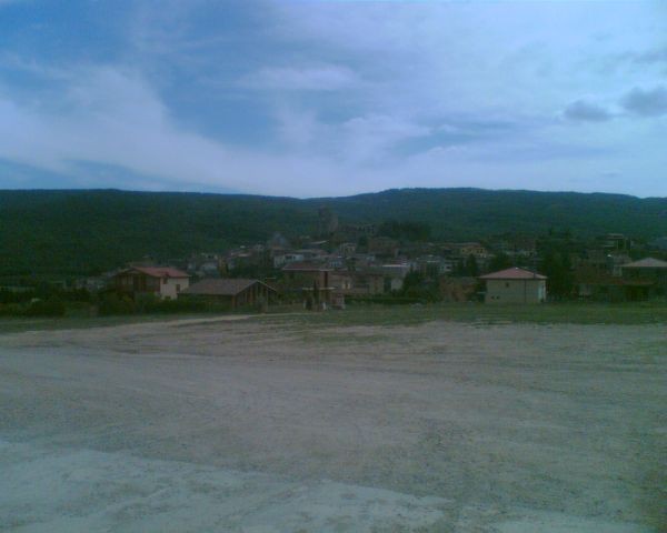 sl1981.jpg