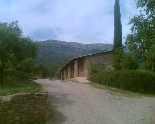sl1982.jpg