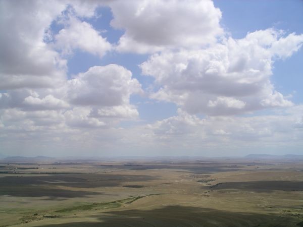 sl2144.jpg