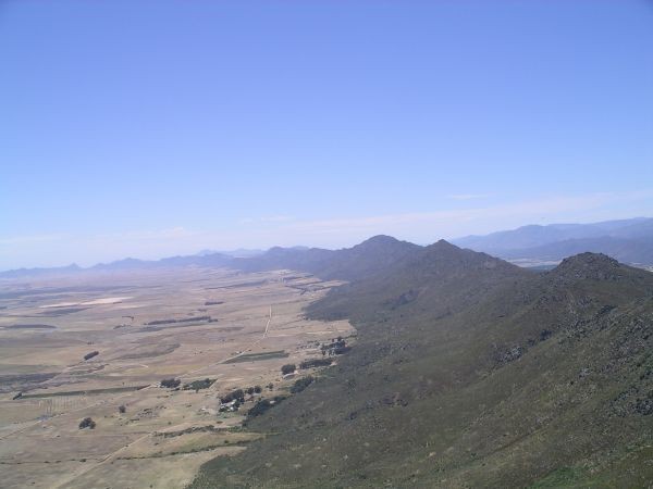 sl2139.jpg