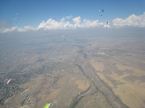 sl2064.jpg