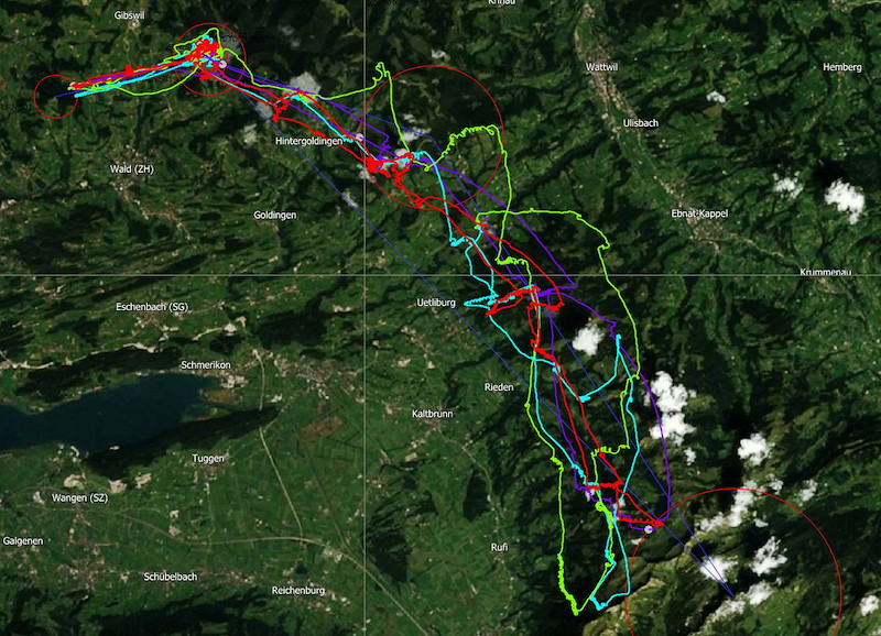 r05-task.jpg